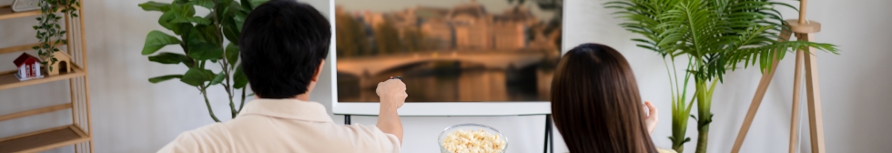 Netflixプラン見放題プラン及び会員制割引サービス